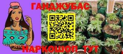 мяу мяу мука Донской