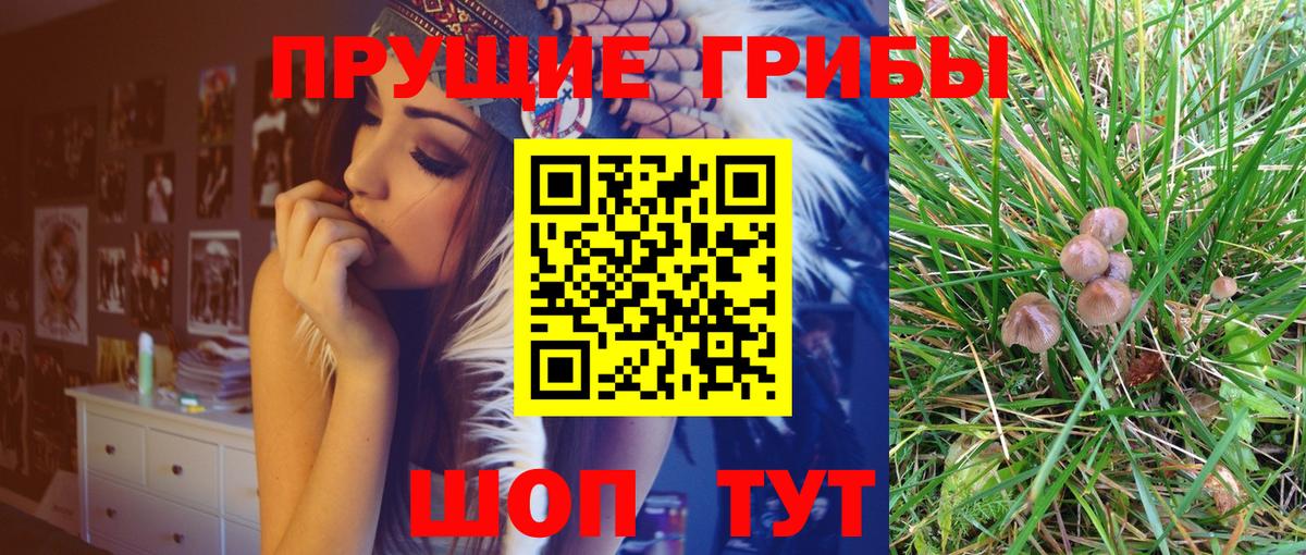 Псилоцибиновые грибы MAGIC MUSHROOMS  Вход с VPN  Геленджик 