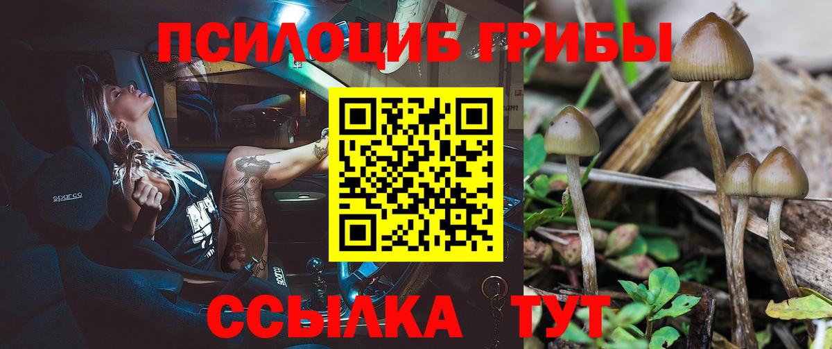 Галлюциногенные грибы прущие грибы Геленджик